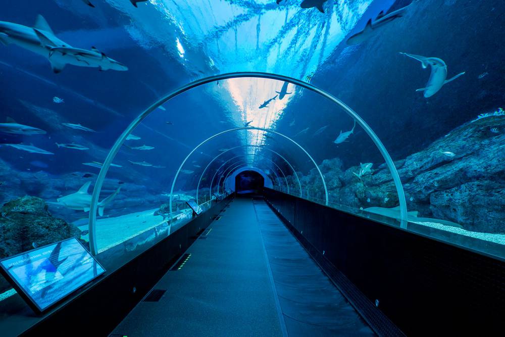 Singapore aquarium deals